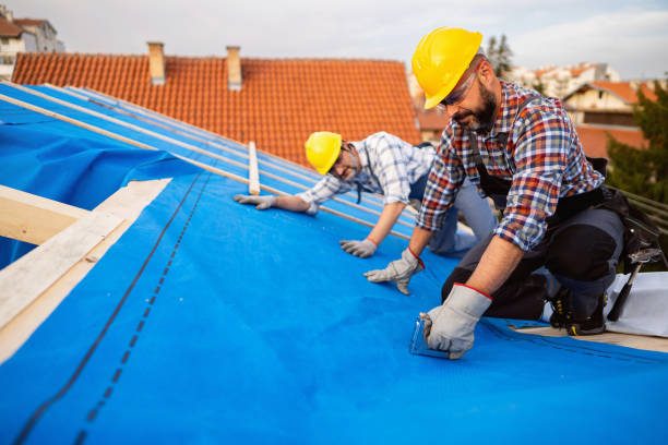 Roof Waterproofing Services in Pickens, MS