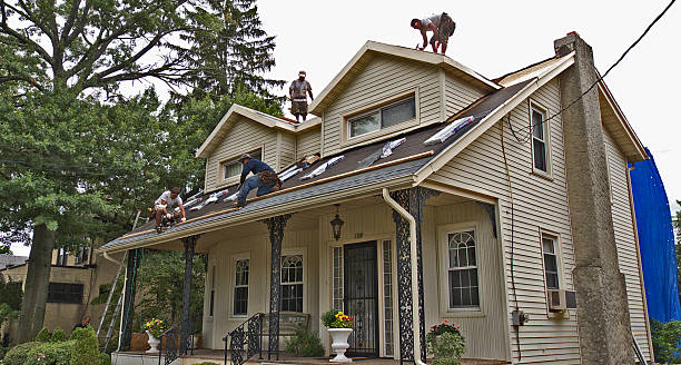 Professional Roofing Contractor in Pickens, MS